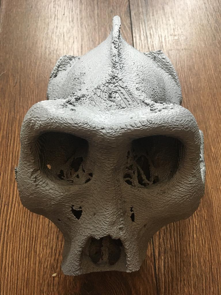 Skull